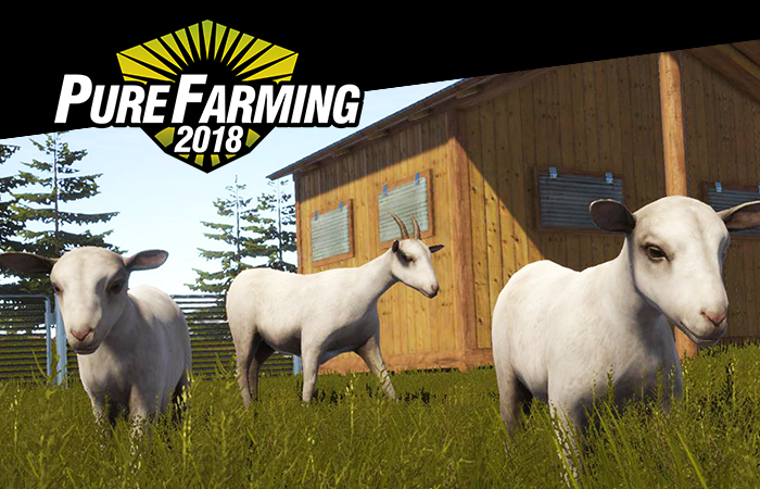 Goats now available in Montana